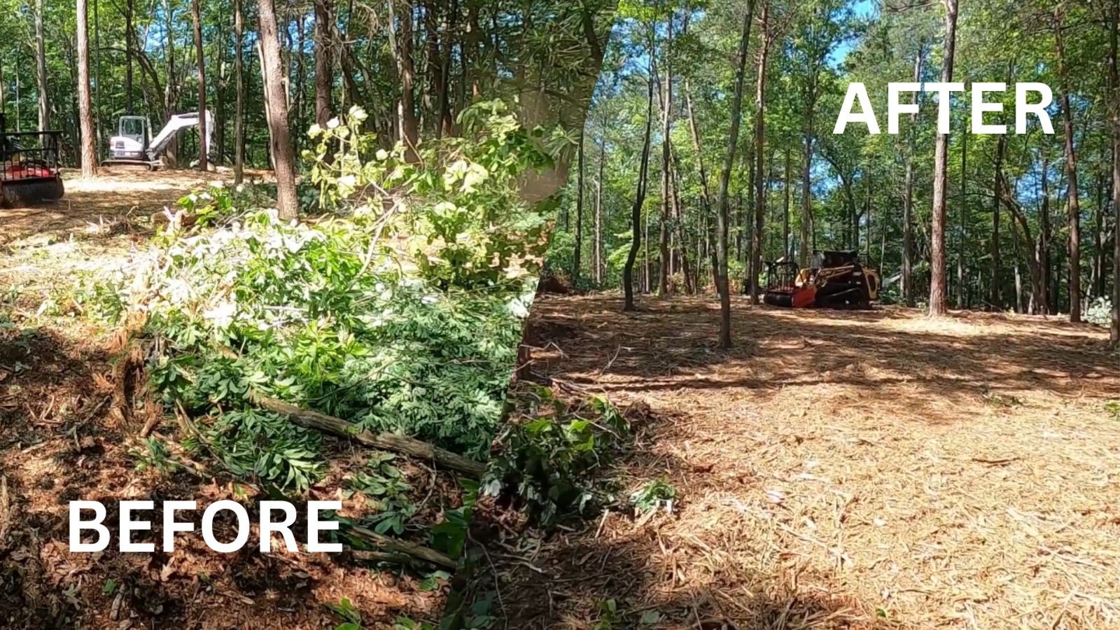 Before and after land clearing and forestry mulching